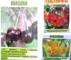 Саженцы продам