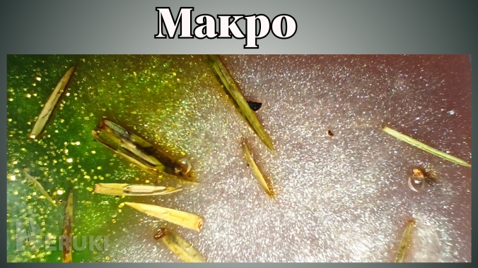 Мыло ручной работы с экстрактом сосны 1