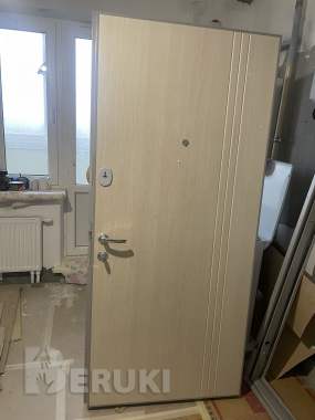 Дверь входная 3