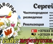 Куры. Цесарки. Фазаны.