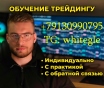 Индивидуальное обучение трейдингу