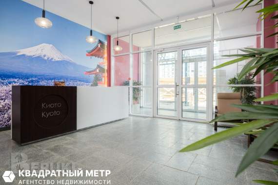 Однокомнатная квартира, минск-мир, метро аэродромная 11