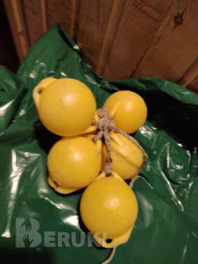 Маркерный поплавок 1