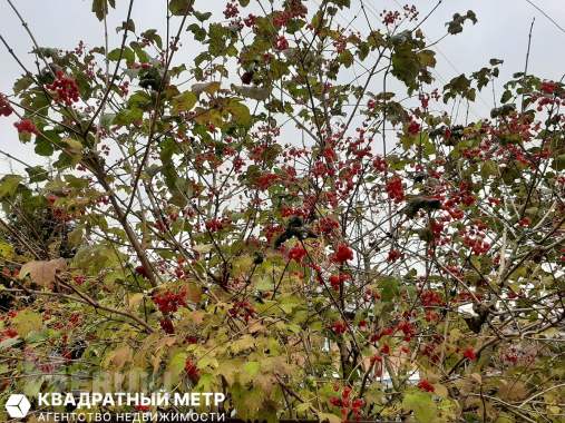 Дача в с/т «дальний остров» 17