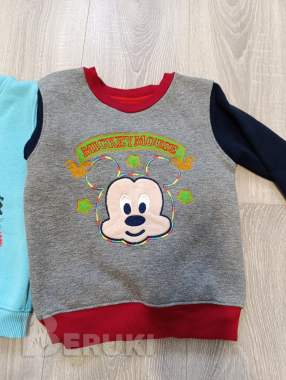 Свитшоты утепленные 1