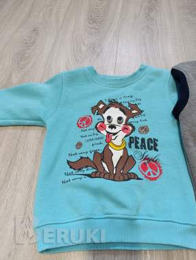 Свитшоты утепленные 2