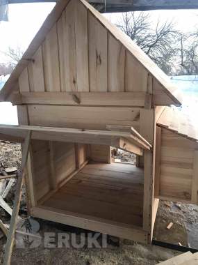 Курятник 2