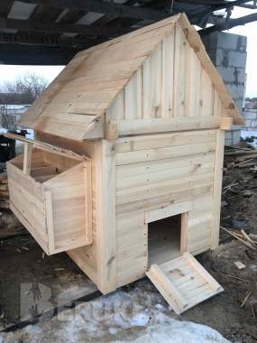 Курятник 3