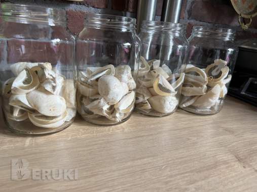 Весёлка настойка 3