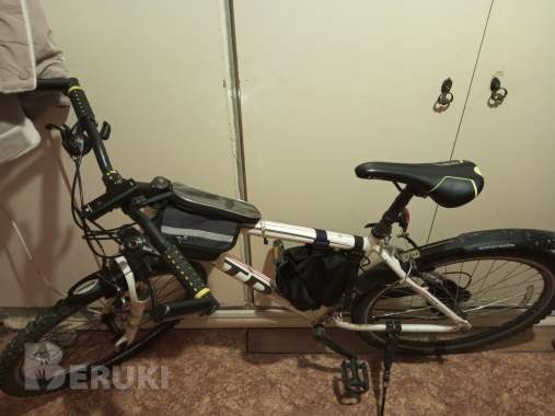 Горный велосипед ltd rocco 30 1