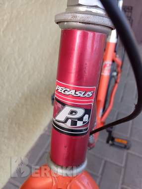 Велосипед pegasus 24