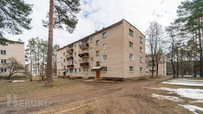 2х- комнатная квартира п. Новоколосово 0