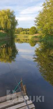 Жилой дом на берегу реки туржанка, д. Туржец-2 0