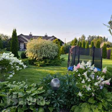 Дом на краткосрочную аренду 1