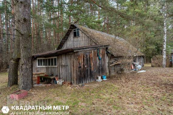 Продается дом с большим участком в аг. Раков, 27 км от минска. 18