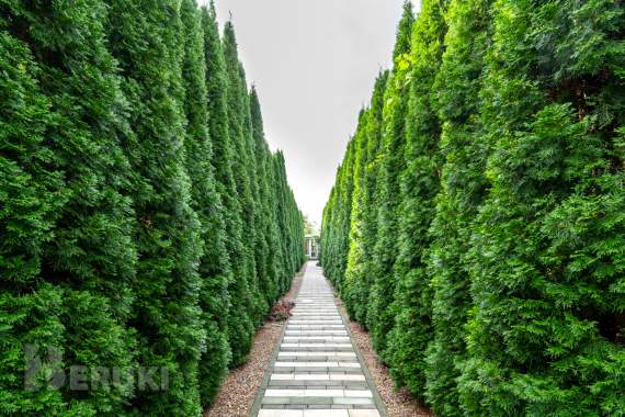 Аренда 2-этажного дома в юхновке 1