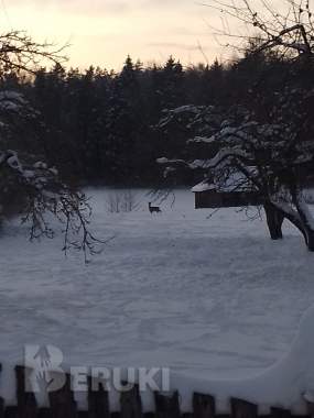 Продается земельный участок. 0