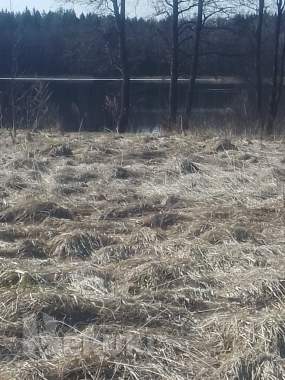 Продается земельный участок. 3