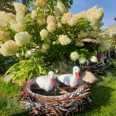 Гнездо из ротанга для бусликов. 0