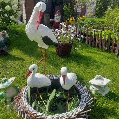 Гнездо из ротанга для бусликов. 3