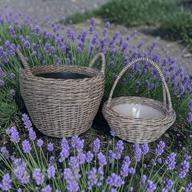 Набор корзин для пикника. 1