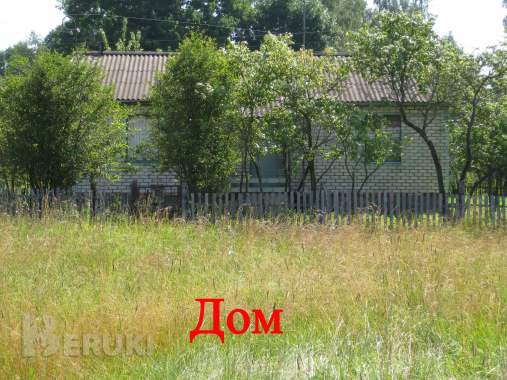 Жилой кирпичный дом на берегу озера, г. П. Коханово. 5