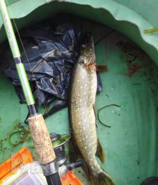 Жилой кирпичный дом на берегу озера, г. П. Коханово. 16