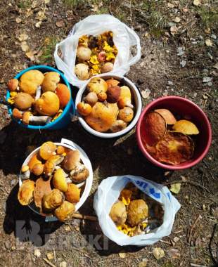 Жилой кирпичный дом на берегу озера, г. П. Коханово. 18