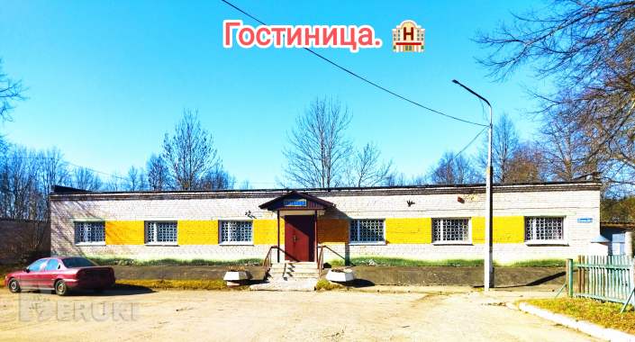 Жилой кирпичный дом на берегу озера, г. П. Коханово. 28