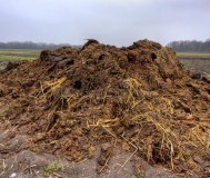 Конский навоз перегной