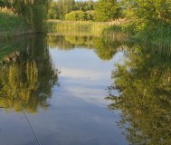 Жилой дом на берегу реки туржанка, д. Туржец-2