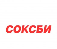 Soxbe - яркие носки для мужчин, женщин и детей