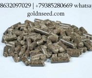 Шрот подсолнечный и соевый оптом - гк юг руси