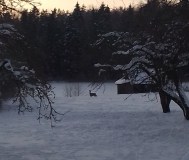 Продается земельный участок.