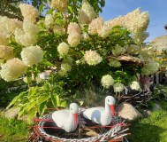 Гнездо из ротанга для бусликов.