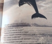 Энциклопедии для детей