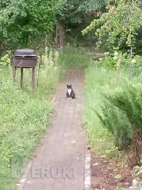 Продается дача в Крыжовке С. Т. «Урожай» 1