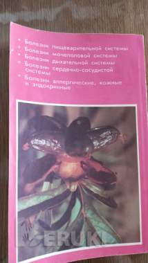 Настольные книги 6