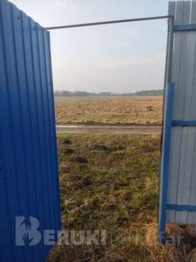 Продажа участка с домом в деревне Сосновка 2