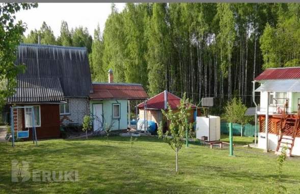 На браславских озёрах сдам дачный дом. 2