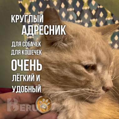 «адресник» для собачек и кошечек с вашей гравировкой 0