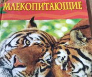 Детские книги энциклопедии