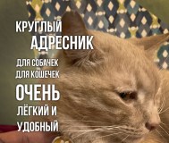 «адресник» для собачек и кошечек с вашей гравировкой