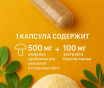 Ежовик гребенчатый мицелий 500мг и бакопа монье 100мг