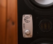 Студийные мониторы eve audio sc307 пара