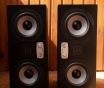 Студийные мониторы eve audio sc307 пара