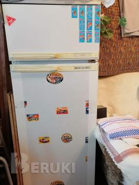 Экспортная версия двухкамерного холодильника. 1