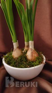 Нарциссы ручной работы 1