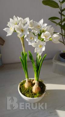 Нарциссы ручной работы 3