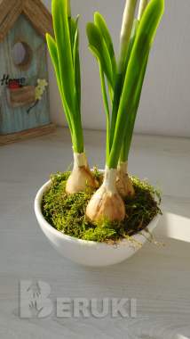 Нарциссы ручной работы 4